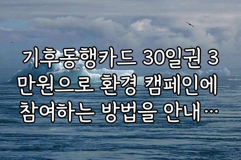 기후동행카드 30일권 3만원으로 환경 캠페인에 참여하는 방법을 안내합니다