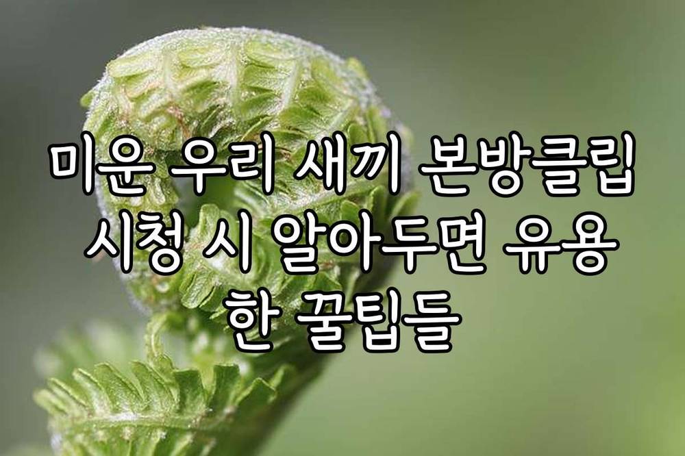 미운 우리 새끼 본방클립 시청 시 알아두면 유용한 꿀팁들