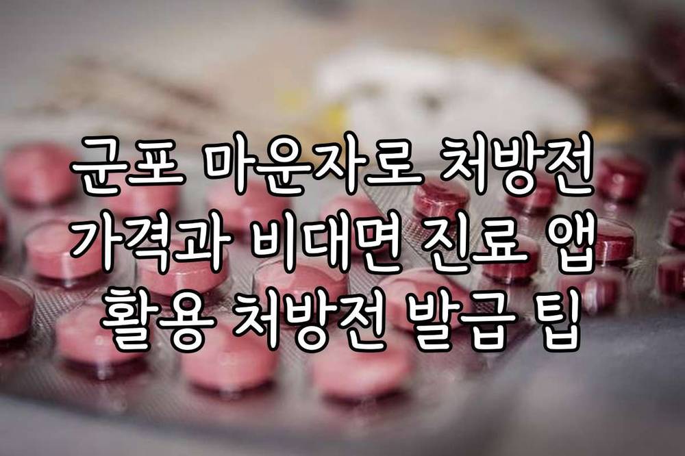 군포 마운자로 처방전 가격과 비대면 진료 앱 활용 처방전 발급 팁