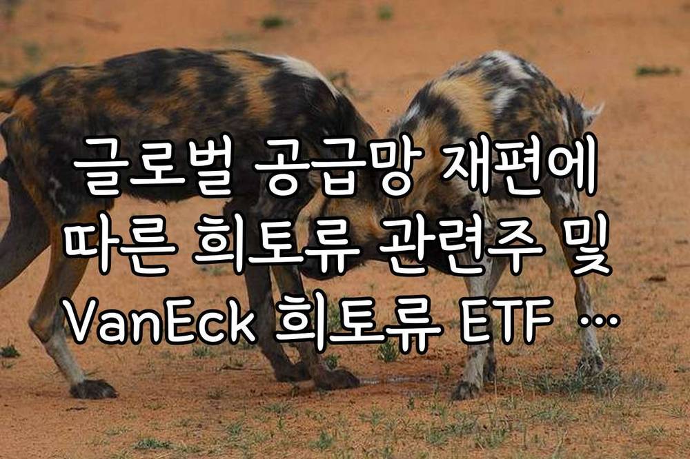 글로벌 공급망 재편에 따른 희토류 관련주 및 VanEck 희토류 ETF 투자 포인트