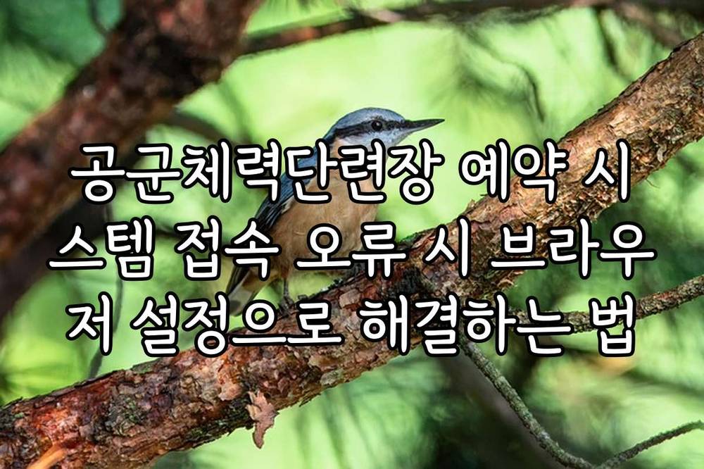 공군체력단련장 예약 시스템 접속 오류 시 브라우저 설정으로 해결하는 법