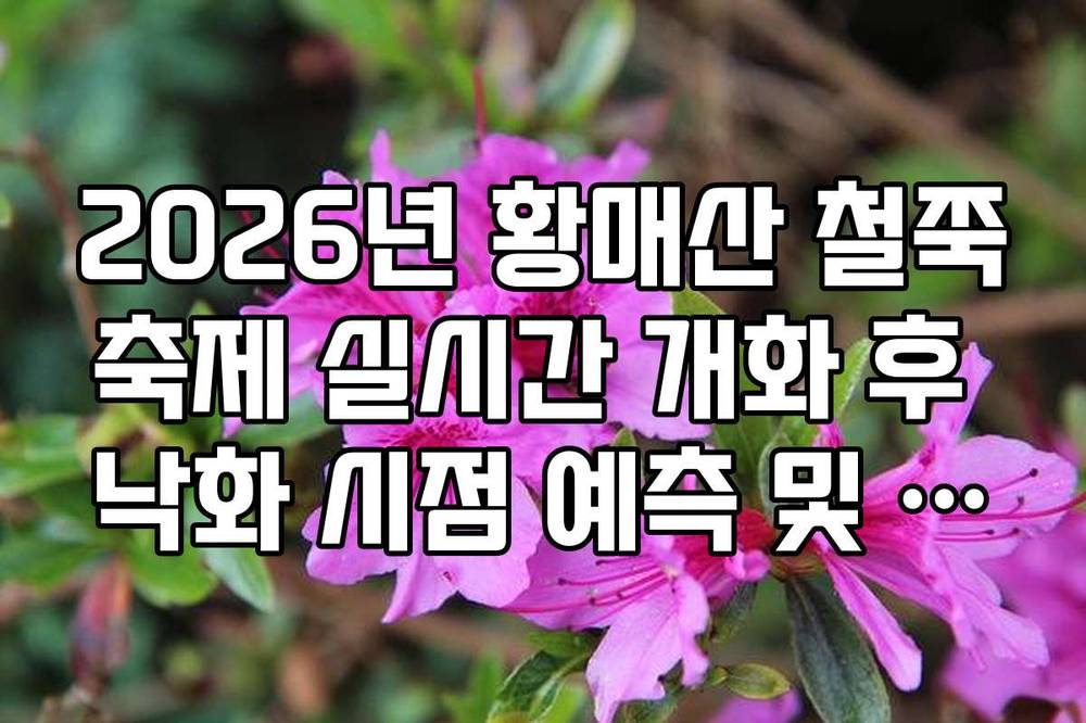 2026년 황매산 철쭉축제 실시간 개화 후 낙화 시점 예측 및 방문 마지노선