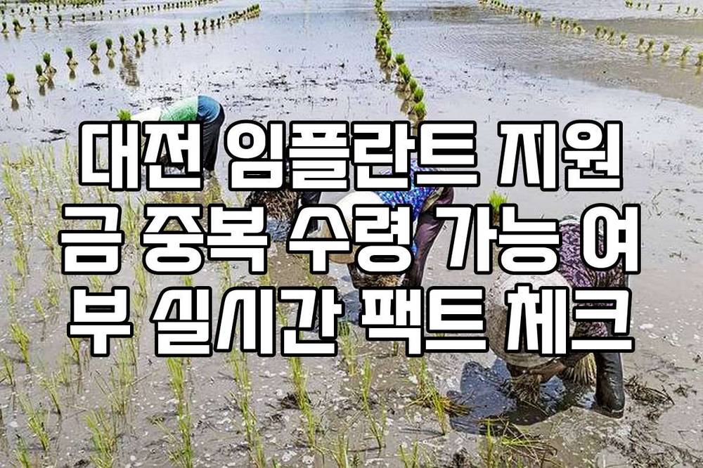대전 임플란트 지원금 중복 수령 가능 여부 실시간 팩트 체크