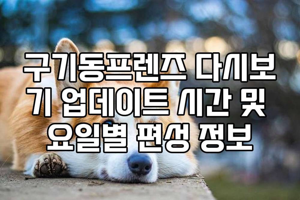 구기동프렌즈 다시보기 업데이트 시간 및 요일별 편성 정보