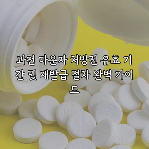 과천 마운자 처방전 유효 기간 및 재발급 절차 완벽 가이드