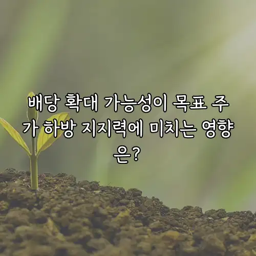 배당 확대 가능성이 목표 주가 하방 지지력에 미치는 영향은?