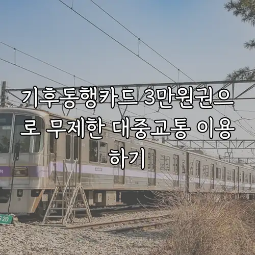 기후동행카드 3만원권으로 무제한 대중교통 이용하기