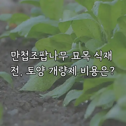 만첩조팝나무 묘목 식재 전, 토양 개량제 비용은?