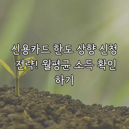 신용카드 한도 상향 신청 전략! 월평균 소득 확인하기