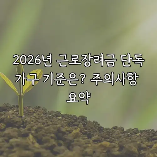 2026년 근로장려금 단독가구 기준은? 주의사항 요약
