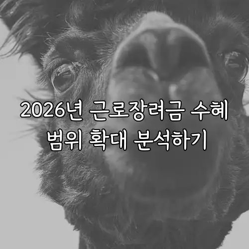 2026년 근로장려금 수혜 범위 확대 분석하기