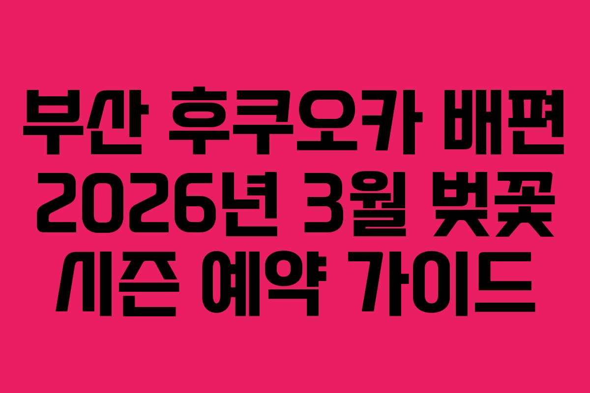 부산 후쿠오카 배편 2026년 3월 벚꽃 시즌 예약 가이드