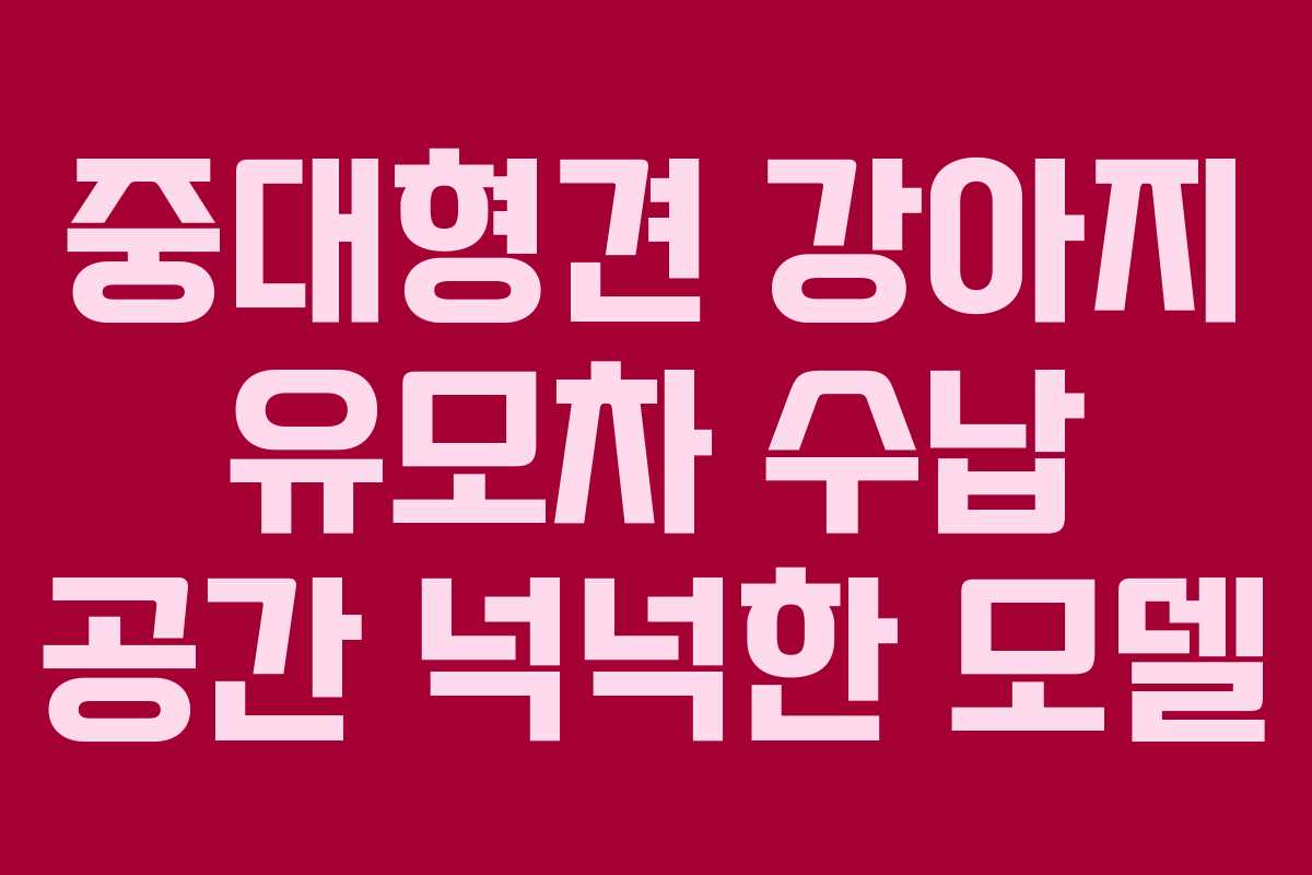 중대형견 강아지 유모차 수납 공간 넉넉한 모델