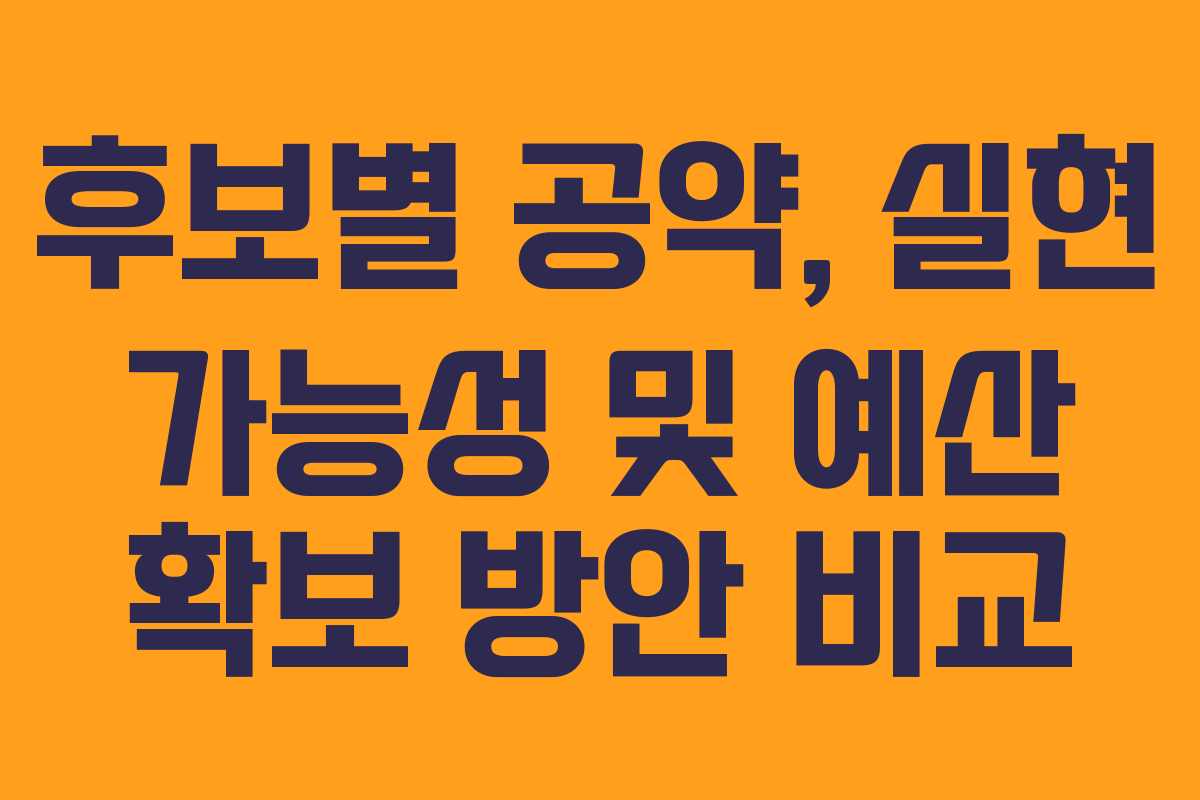 후보별 공약, 실현 가능성 및 예산 확보 방안 비교