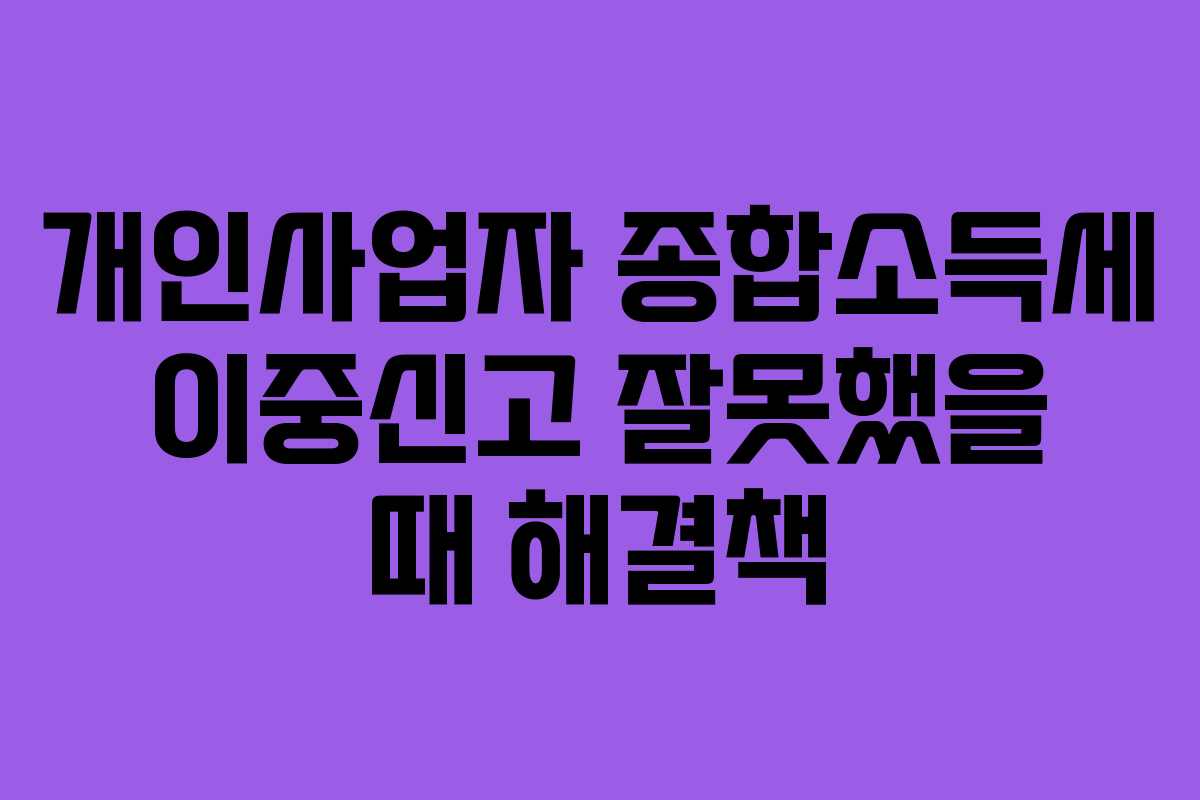 개인사업자 종합소득세 이중신고 잘못했을 때 해결책 개인사업자 종합소득세 이중신고 잘못했을 때 해결책