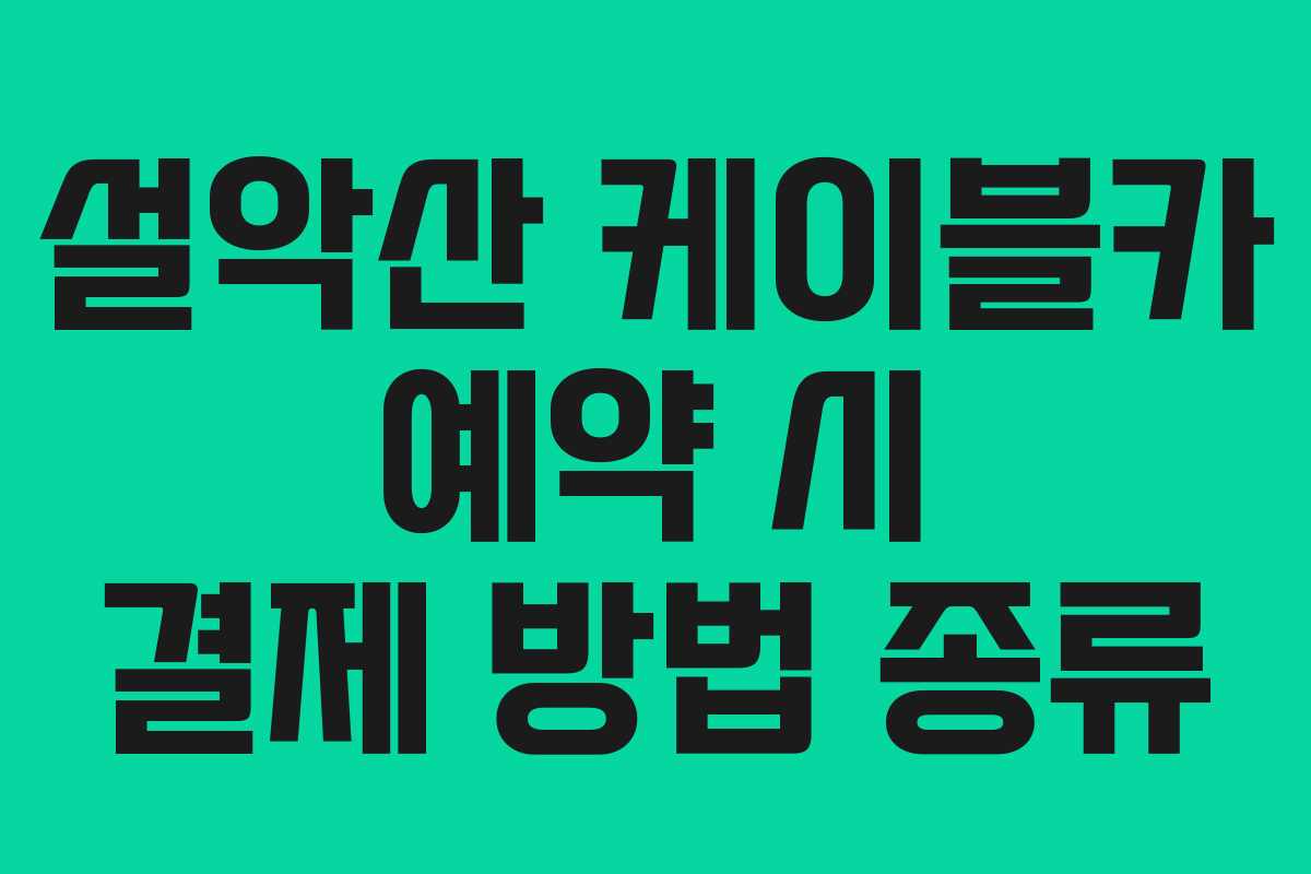 설악산 케이블카 예약 시 결제 방법 종류
