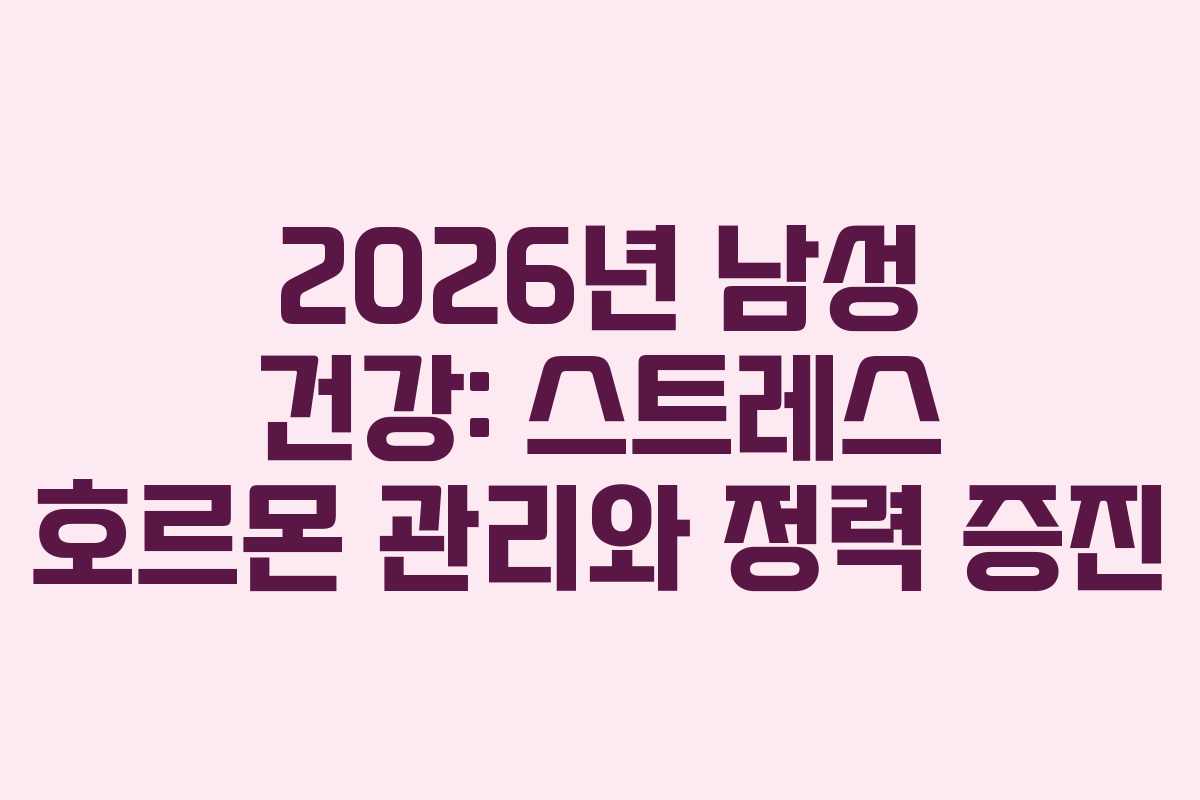 2026년 남성 건강: 스트레스 호르몬 관리와 정력 증진