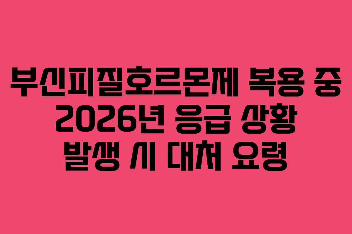 부신피질호르몬제 복용 중 2026년 응급 상황 발생 시 대처 요령 부신피질호르몬제 복용 중 2026년 응급 상황 발생 시 대처 요령