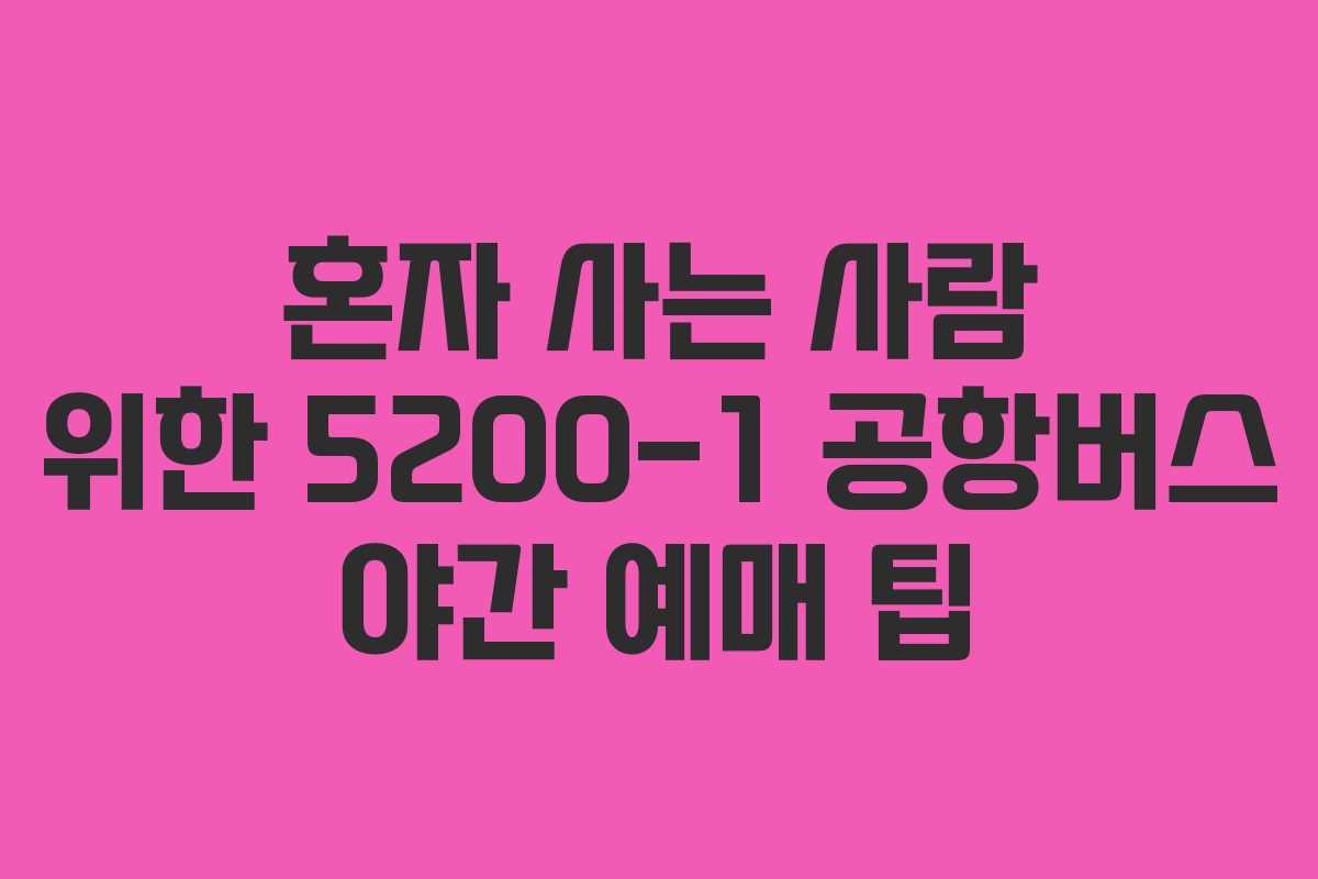 혼자 사는 사람 위한 5200-1 공항버스 야간 예매 팁