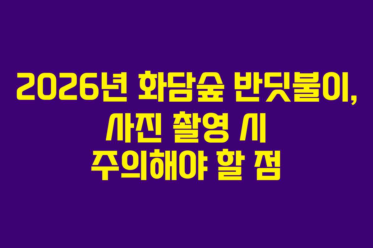 2026년 화담숲 반딧불이, 사진 촬영 시 주의해야 할 점