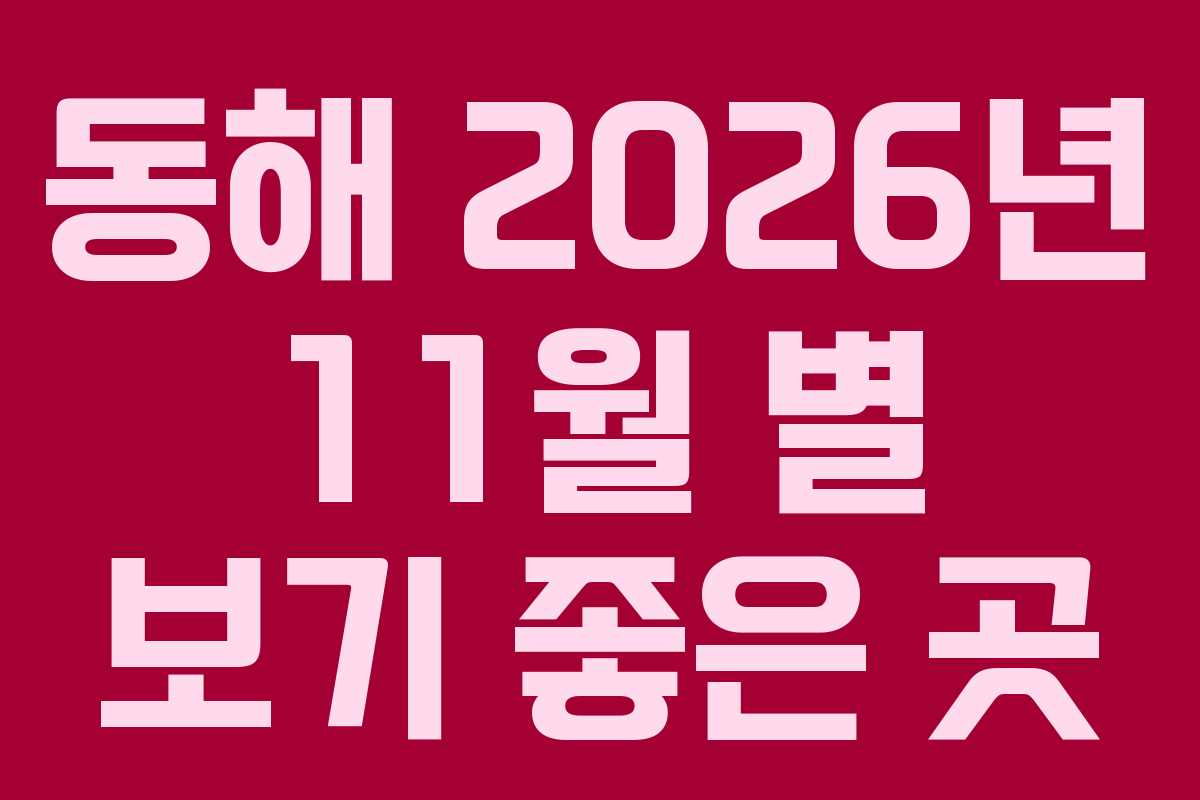 동해 2026년 11월 별 보기 좋은 곳