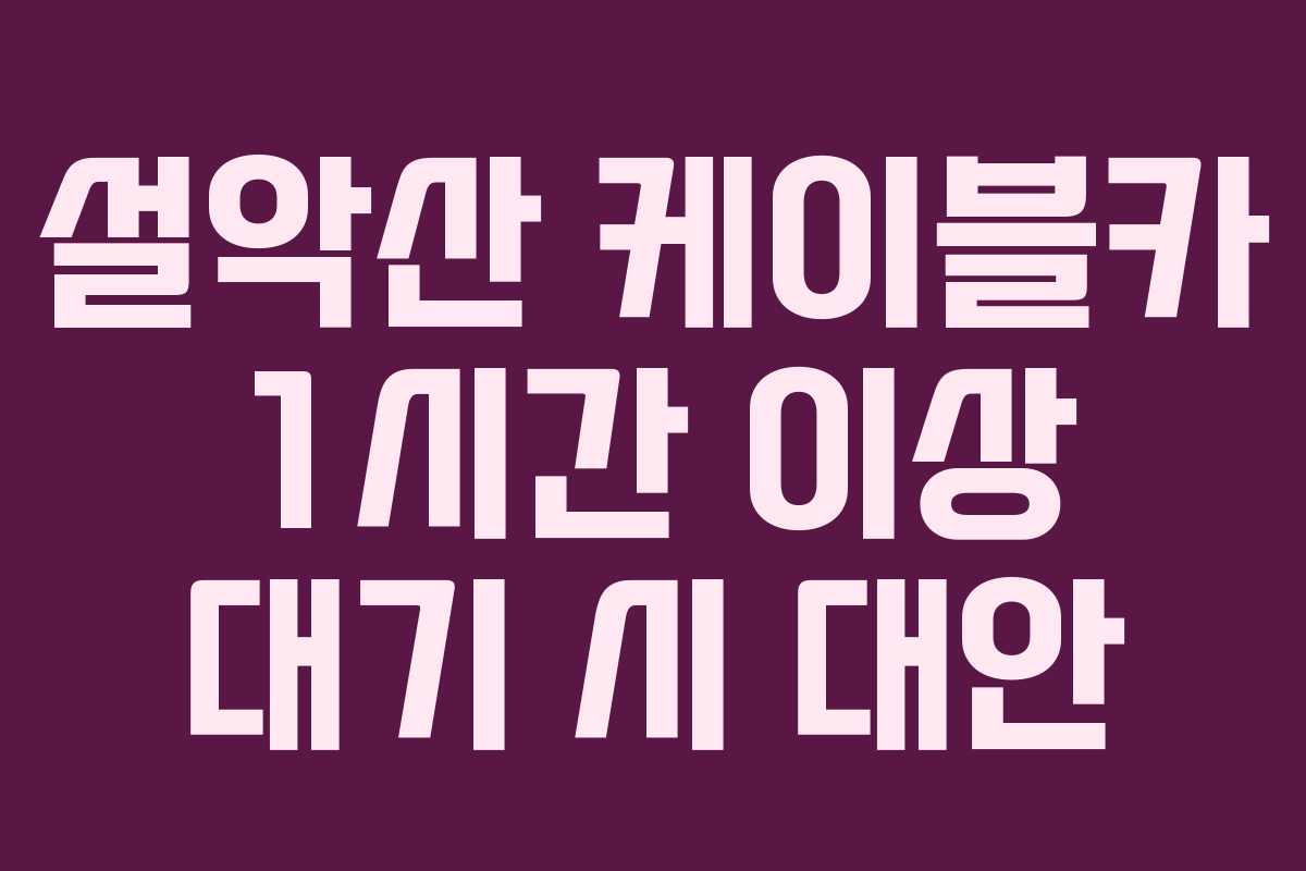 설악산 케이블카 1시간 이상 대기 시 대안