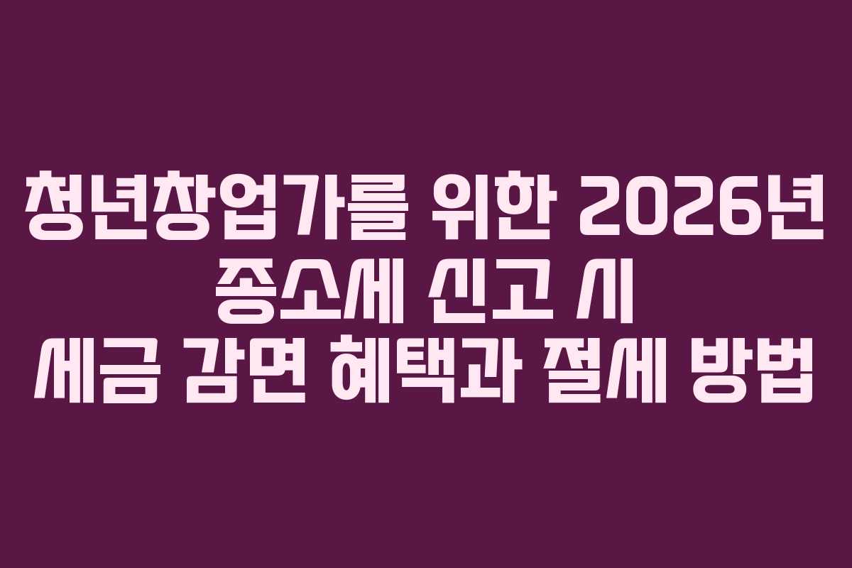 청년창업가를 위한 2026년 종소세 신고 시 세금 감면 혜택과 절세 방법