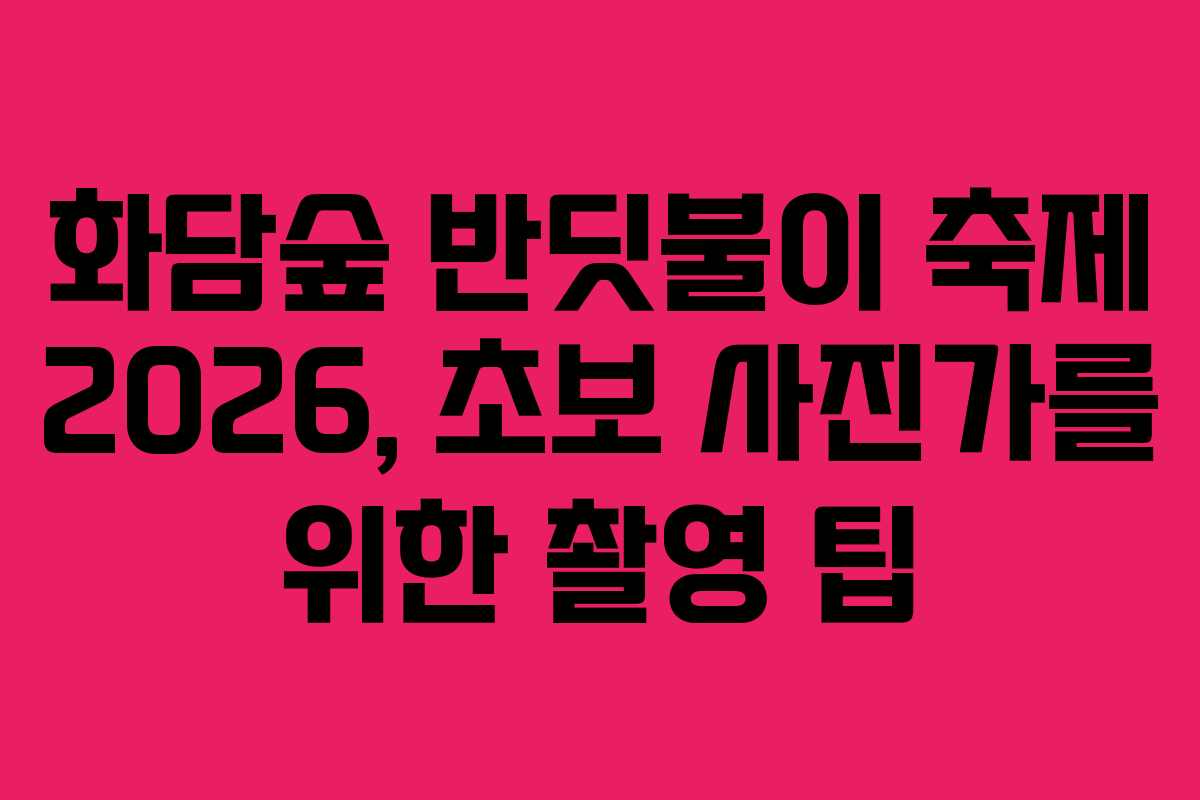 화담숲 반딧불이 축제 2026, 초보 사진가를 위한 촬영 팁