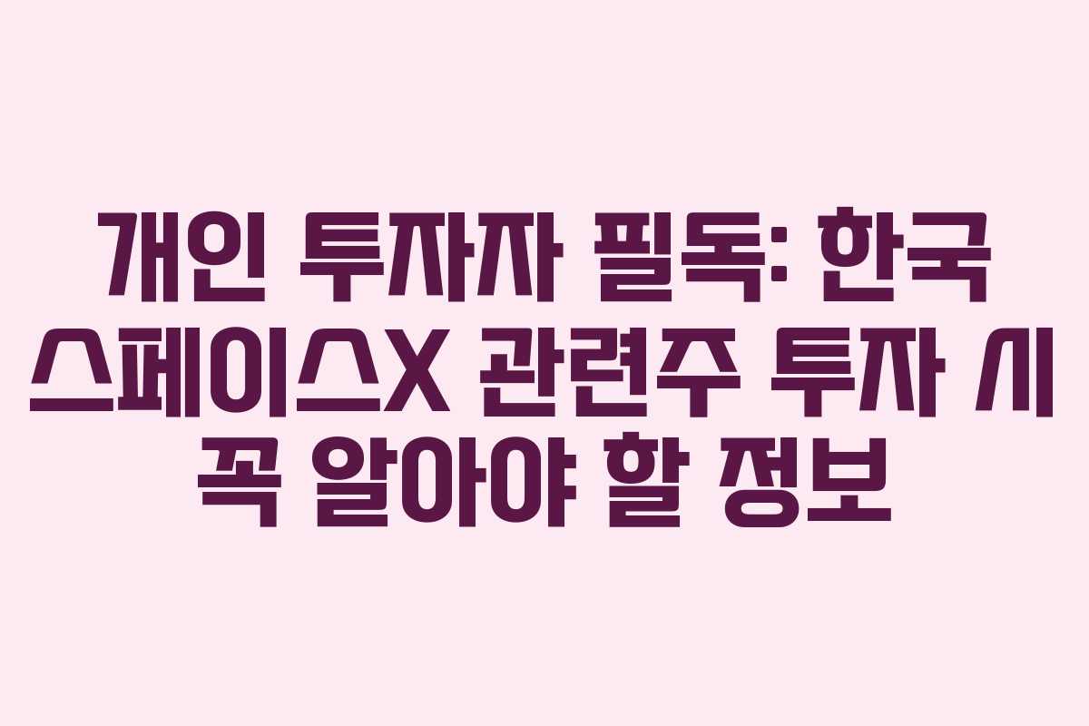 개인 투자자 필독: 한국 스페이스X 관련주 투자 시 꼭 알아야 할 정보 개인 투자자 필독: 한국 스페이스X 관련주 투자 시 꼭 알아야 할 정보
