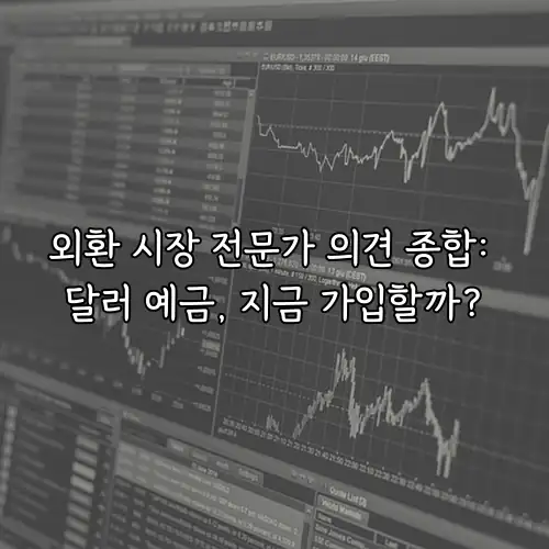 외환 시장 전문가 의견 종합: 달러 예금, 지금 가입할까?