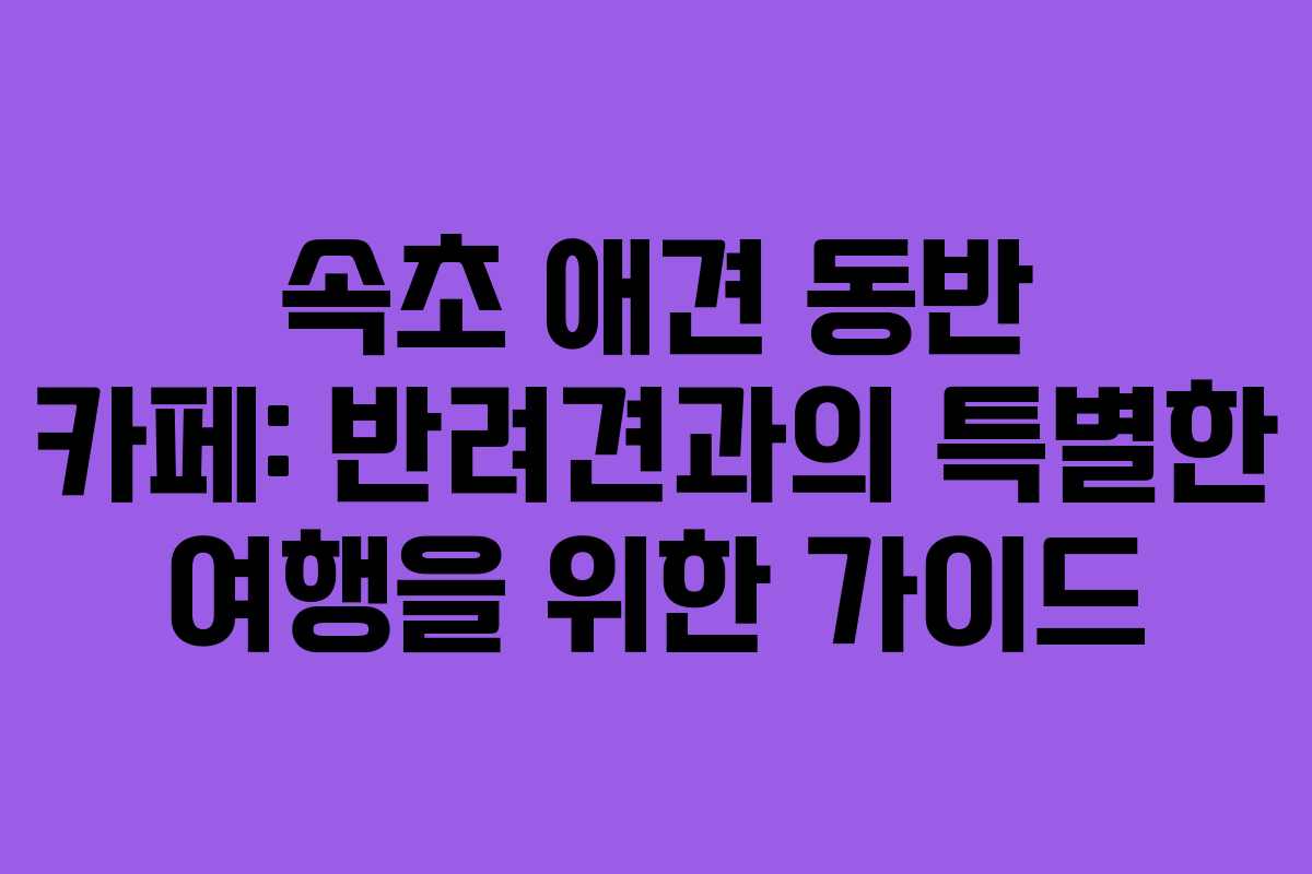 속초 애견 동반 카페: 반려견과의 특별한 여행을 위한 가이드 속초 애견 동반 카페: 반려견과의 특별한 여행을 위한 가이드