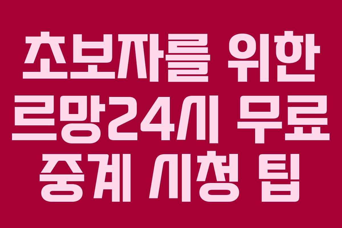 초보자를 위한 르망24시 무료 중계 시청 팁 초보자를 위한 르망24시 무료 중계 시청 팁